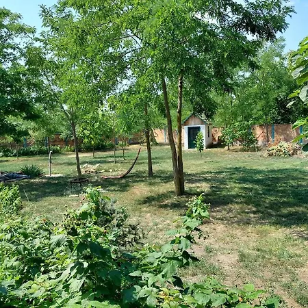 Eva House Guest house Pacir