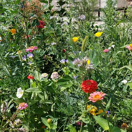 Konukevi Eva House 3*