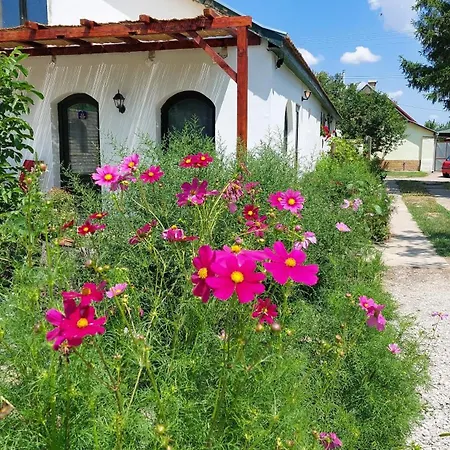 Eva House Guest house