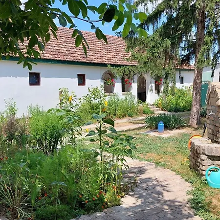 Eva House Konukevi 3*