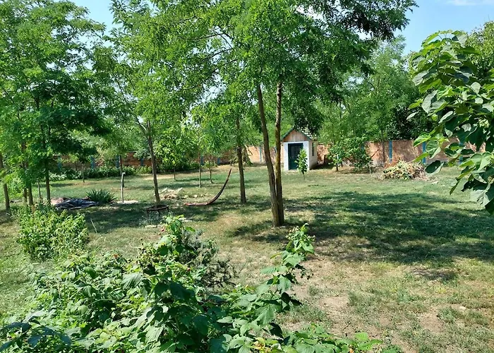 Eva House Гостевой дом Pacir