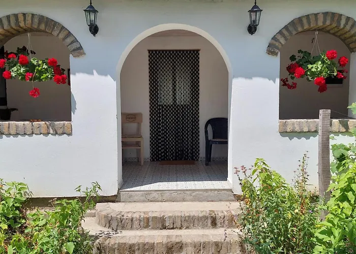 Eva House Гостевой дом Pacir